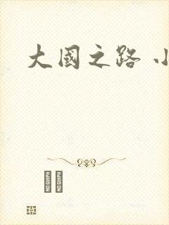 大国之路 小说