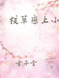 校草恋上小丫头