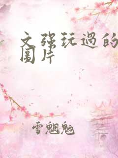 文强玩过的女人图片