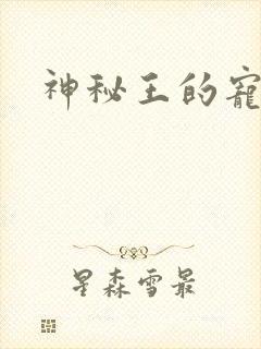 神秘王的宠姬