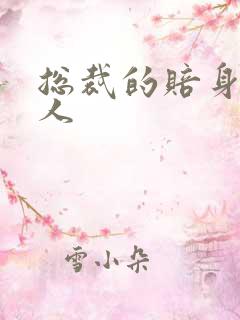 总裁的赔身小情人