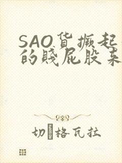 SAO货撅起你的贱屁股来