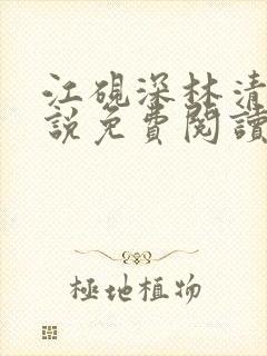 江砚深林清浅小说免费阅读