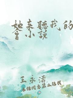 她来听我的演唱会小说