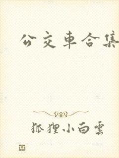 公交车合集