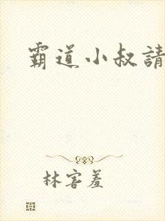 霸道小叔请轻撩