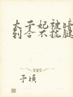 太子妃被暗卫c到合不拢腿