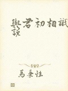 与君初相识 小说