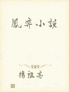 凤弈小说