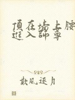 顶在墙上腰一沉进入师尊