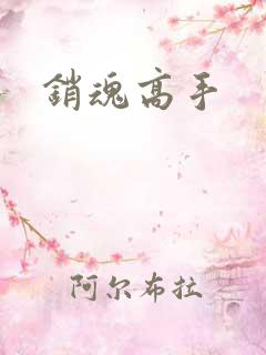销魂高手