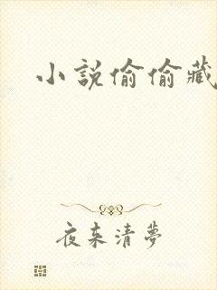 小说偷偷藏不住