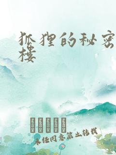 狐狸的秘密19楼