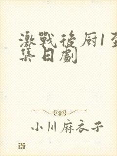 激战后厨1至5集日剧