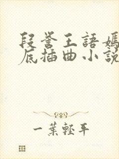 段誉王语嫣在井底插曲小说