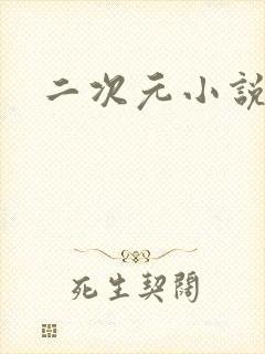 二次元小说网站