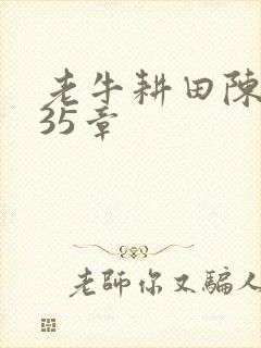 老牛耕田陈雪435章