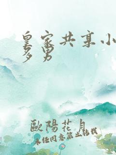 皇家共享小公主多男