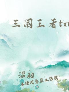 三国王者txt