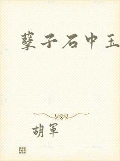 孽子石中玉