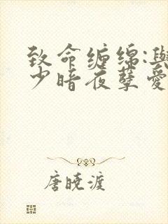 致命缠绵:与冷少暗夜孽爱