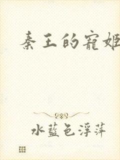 秦王的宠姬