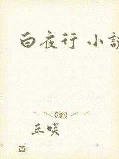 白夜行 小说