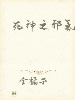 死神之邪气一护