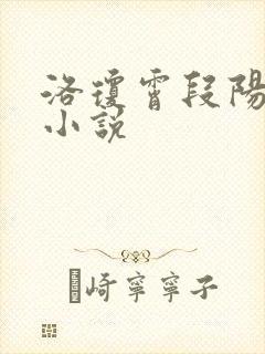 洛琼霄段阳澍的小说