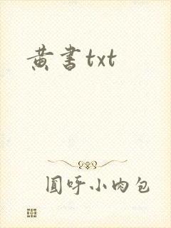 黄书txt