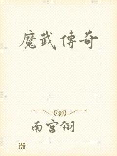 魔武传奇