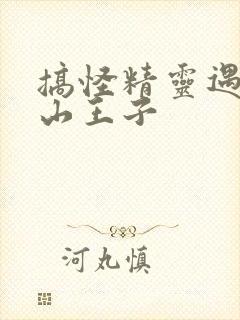 搞怪精灵遇上冰山王子