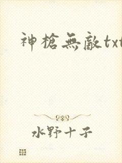 神枪无敌txt