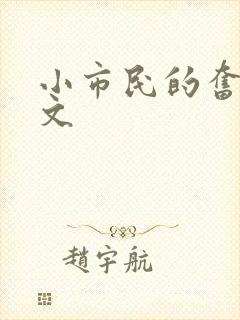 小市民的奋斗燃文