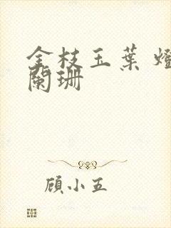 金枝玉叶 灯火阑珊