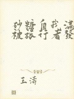 砂糖自我满足时被旅行者发现小说