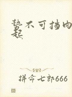 势不可挡肉到飞起