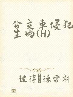 公交车侵犯小男生肉(H)