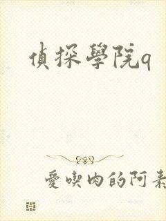 侦探学院q