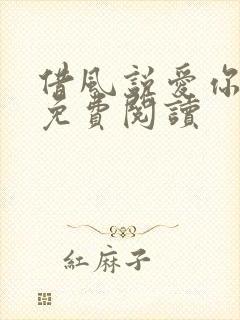 借风说爱你小说免费阅读