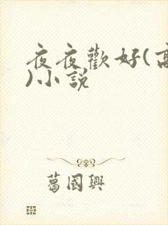 夜夜欢好(高h)小说