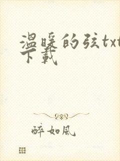 温暖的弦txt下载