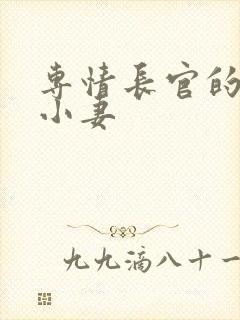 专情长官的天价小妻