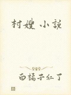 村嫂 小说