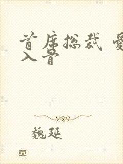 首席总裁 爱你入骨