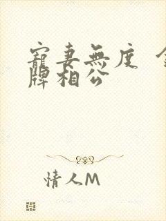 宠妻无度  金牌相公