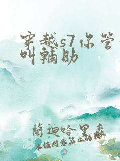 穿越s7你管这叫辅助