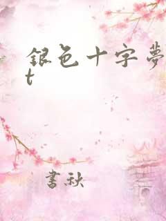 银色十字梦txt