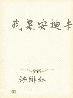 我是安迪卡罗尔