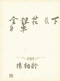 金银花《下厨房》车